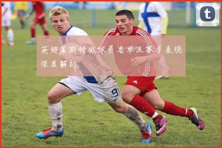 英超莱斯特城球员名单及赛季表现深度解析