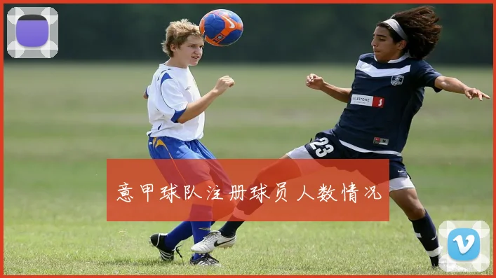 意甲球队注册球员人数情况